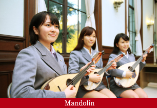 Mandolin