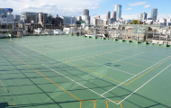 Rooftop Field