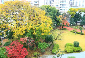 日本庭園